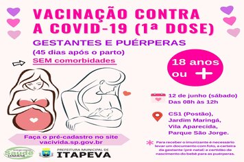 Gestantes e Puérperas (até 45 dias pós-parto) sem comorbidades receberão a 1ª dose da vacina contra a Covid-19