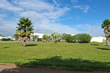  Secretaria Municipal de Administrações Regionais realiza os serviços de roçada e podas de árvores em avenidas e praças