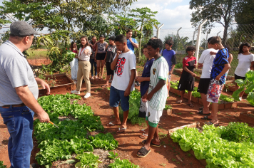 CRAS Santa Maria desenvolve projeto de Olericultura com jovens
