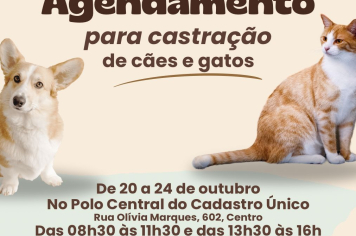  Munícipes devem realizar o cadastro para castração de cães e gatos de 20 a 24 de outubro no Polo Central do Cadastro Único