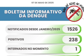 Itapeva registra 238 casos de Dengue positivos no município