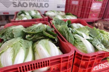 11 toneladas de hortifrútis são distribuídas 