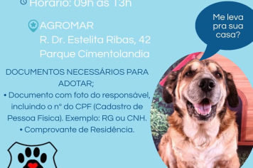 Feira de Adoção de cães e gatos acontece neste sábado (12)