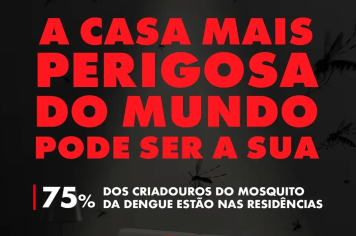 Governo de São Paulo publica dados sobre os criadouros do mosquito no Estado