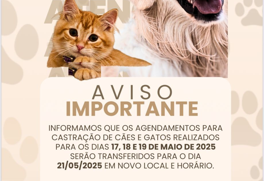 Castrações são reagendadas para melhor atender à população