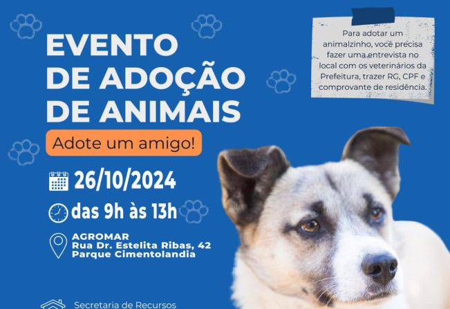 Prefeitura realiza feira de adoção de animais