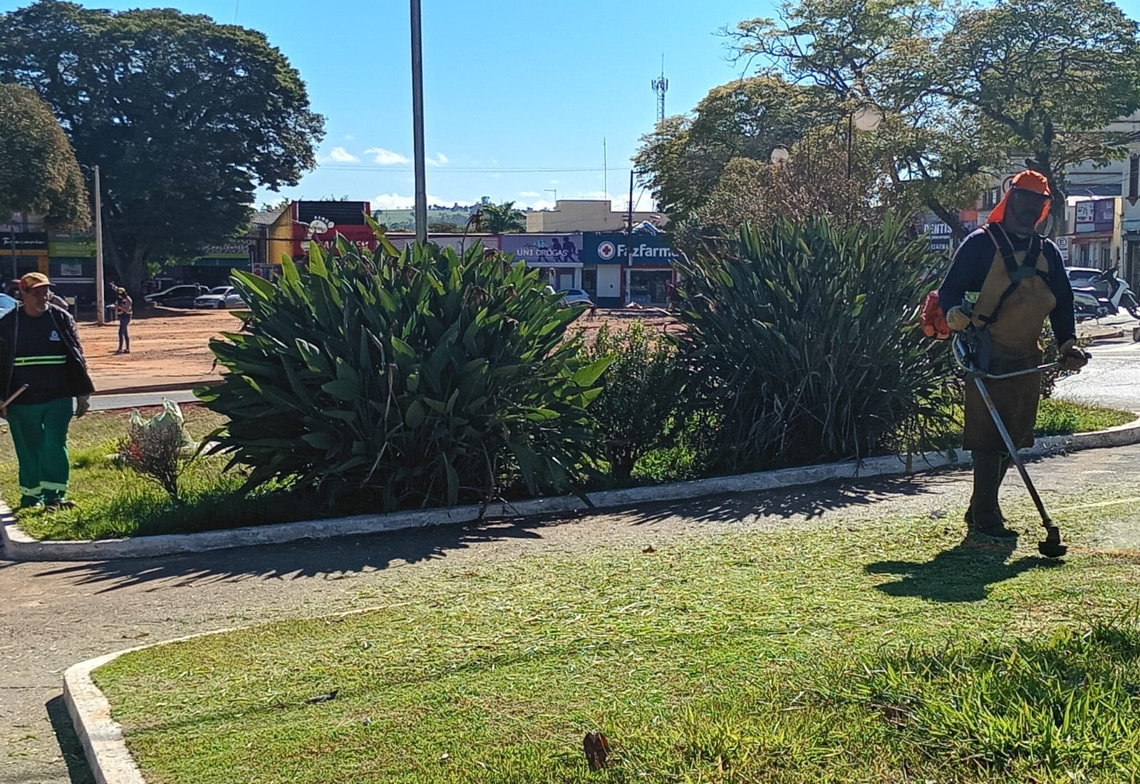 Prefeitura realiza serviços de roçada e limpeza na Av. Paulina de Moraes