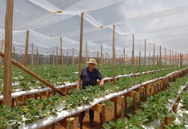 Projetos de incentivo à Agricultura Familiar são desenvolvidos 