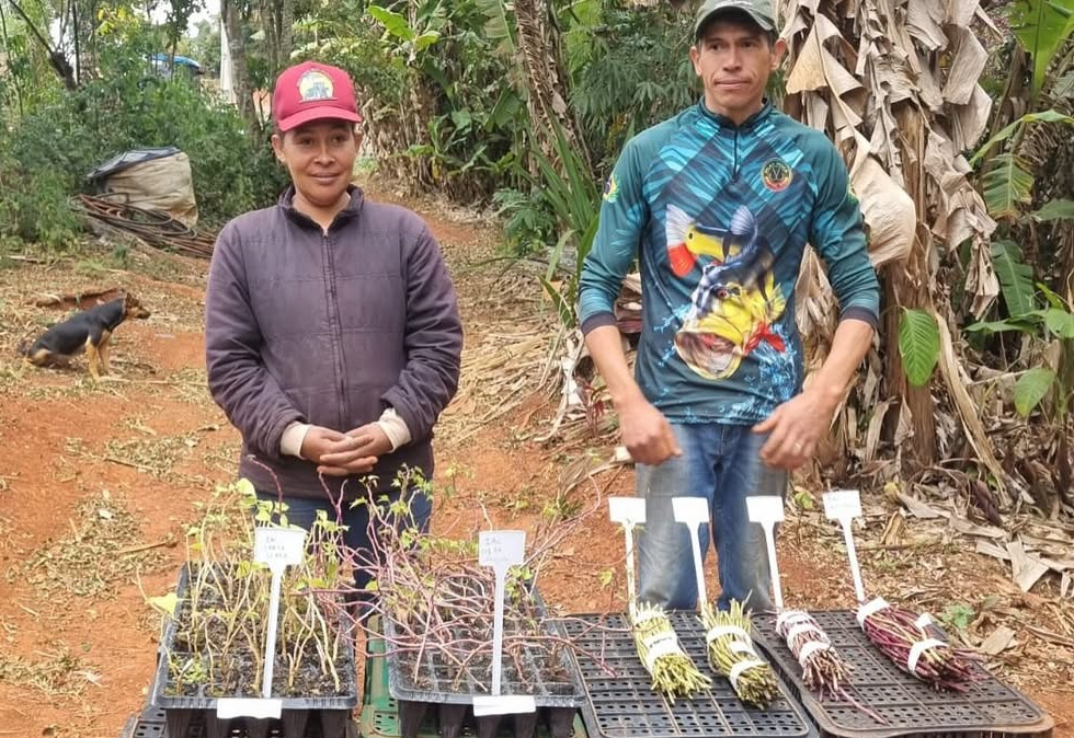 Ação de fortalecimento da Agricultura Familiar é realizada em Itapeva