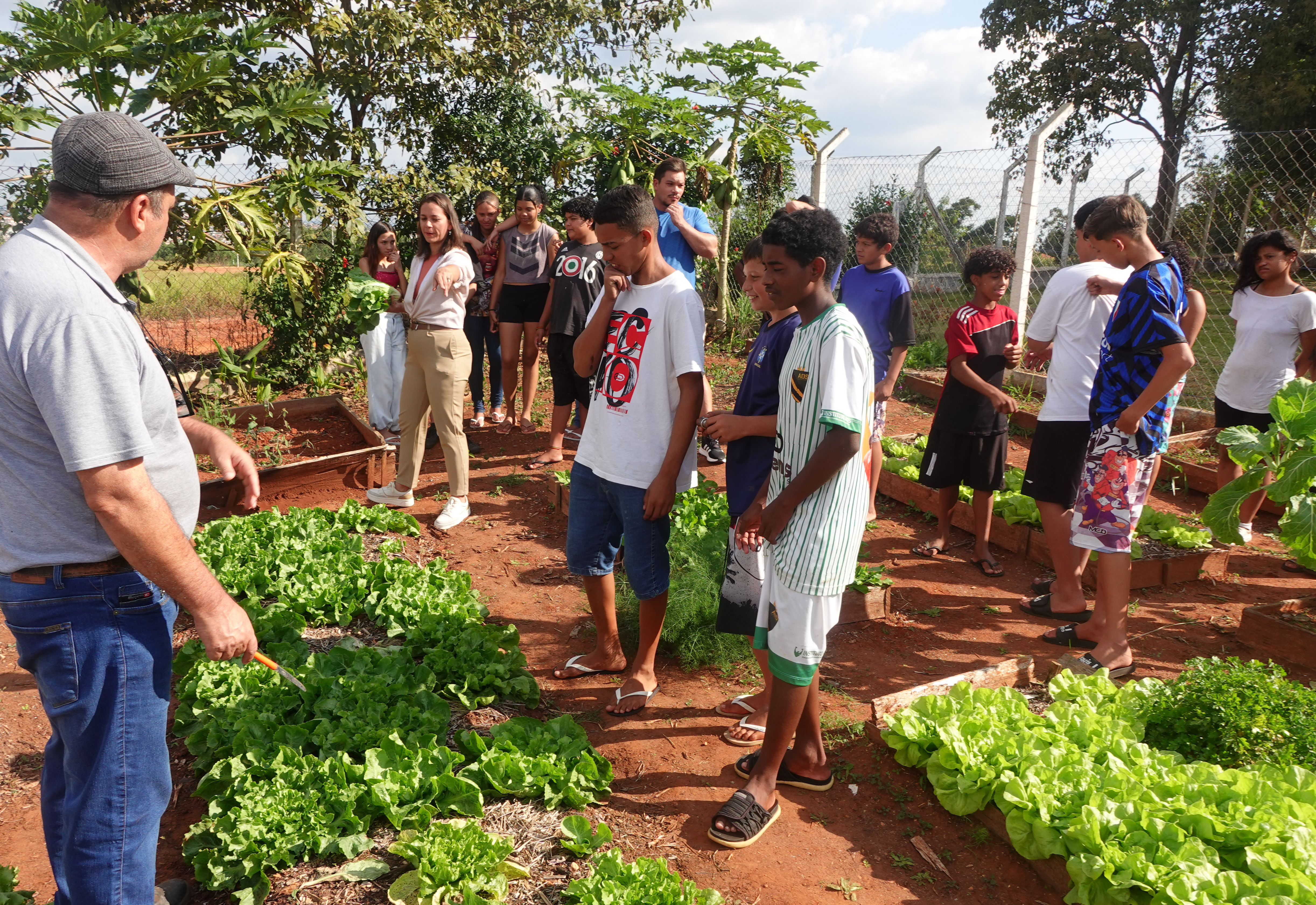 CRAS Santa Maria desenvolve projeto de Olericultura com jovens