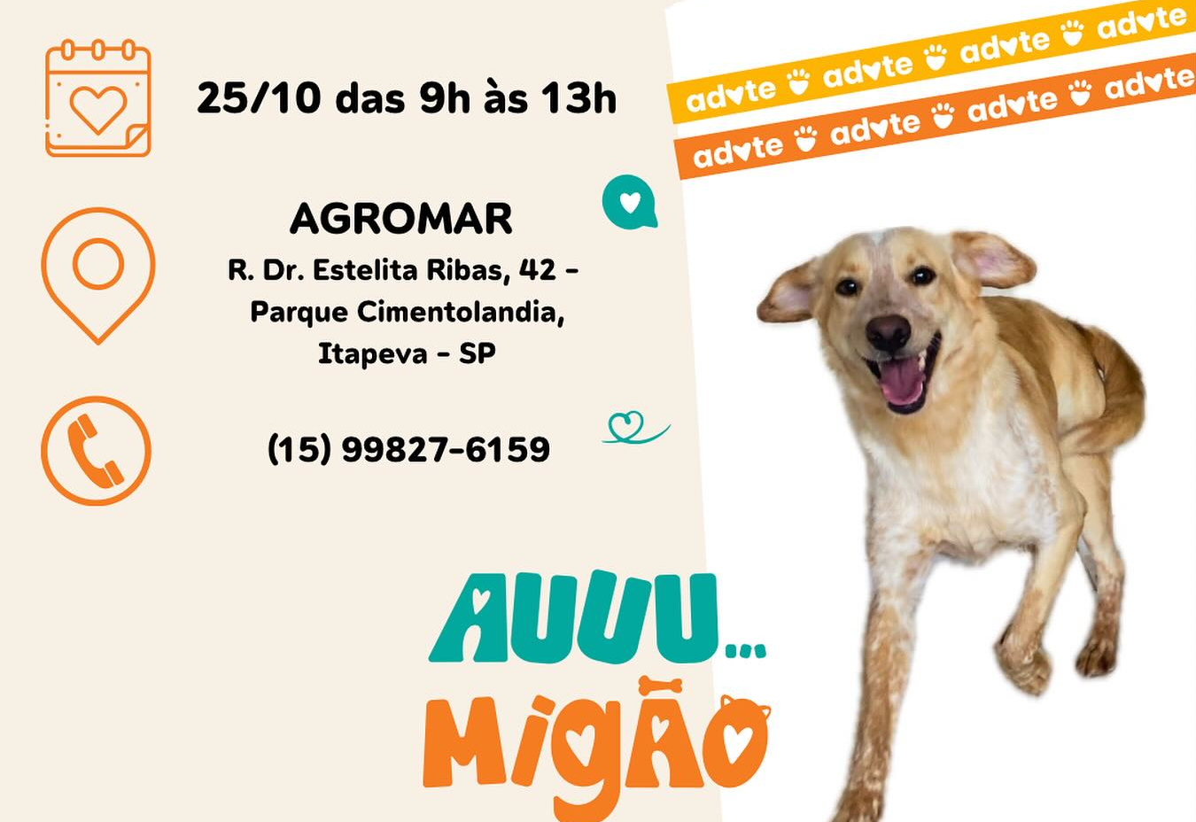 Secretaria de Recursos Hídricos e Meio Ambiente realiza evento de adoção de animais neste sábado(25) na Agromar