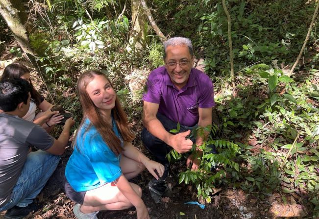 Plantio de mudas nativas é intensificado em Itapeva